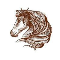 Profile of horse with flowing mane, sketch style vector