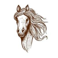 Beautiful young welsh cob horse sketch vector