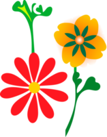 PNG bloemen sier- ontwerp elementen