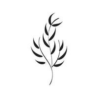 Elegant hand drawn Line art of tropical leaf. vector