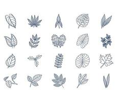 set of Leaf collection vector