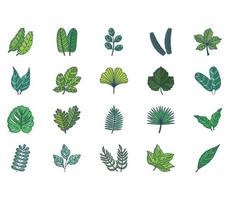 set of Leaf collection vector