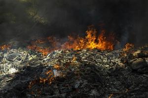 fuego y humo negro. incendio en vertedero. humo en el bosque. vertedero ilegal. foto