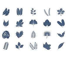 set of Leaf collection vector