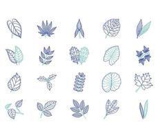 set of Leaf collection vector