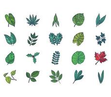 set of Leaf collection vector