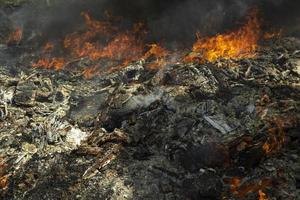 Fire in landfill. Fire and smoke. Burning garbage. photo