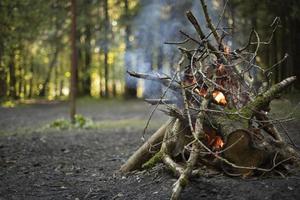 hoguera en el bosque. las ramas secas están ardiendo. detalles de acampada foto