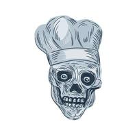 Skull Chef Cook Drawing vector