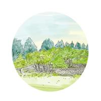 Trees in Park with Cornwall Oval Watercolor vector