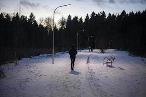 Park in winter in evening. Person walks along park path in cold weather. photo