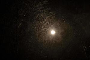 Blizzard at night in city. Light in dark. Precipitation and snow. photo