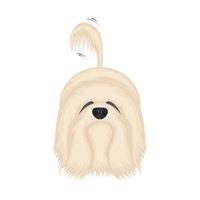 Isolated cute white fluffy dog cartoon character Vector illustration