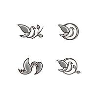 Bird Vector Illustration Template