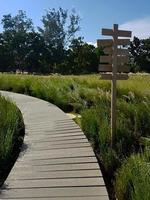 The watercolor style image of the wooden bridge and green grass field and wooden guidepost in the right. photo