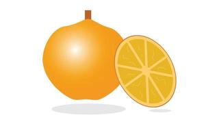 Fresh Orange design pro vector