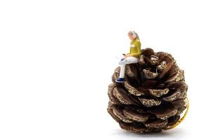 Miniature Woman wearing headphones and listening to music on smartphone sitting on pinecone photo