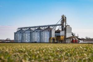 Elevador de granero de silos agrícolas en la planta de fabricación de procesamiento agrícola para el procesamiento, secado, limpieza y almacenamiento de productos agrícolas, harina, cereales y granos. foto