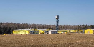 panorama view on agro silos granary elevator on agro-processing manufacturing plant for processing drying cleaning and storage of agricultural products, flour, cereals and grain. photo