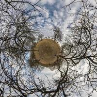 otoño diminuto planeta transformación de panorama esférico 360 grados. vista aérea abstracta esférica en el bosque con ramas torpes. curvatura del espacio. foto