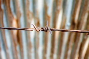 Rusty barbed wire photo