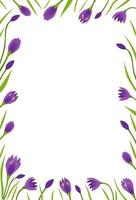 Vertical vector frame with spring crocuses. Template for an invitation, advertising layout, for a postcard or letter