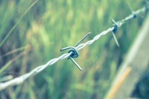 cerca de alambre de púas y primer plano de campo verde foto