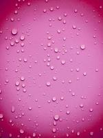 gotas de agua sobre fondo rosa foto