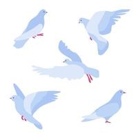 Set of five flat simplified abstract doves. Bird of peace for design cards and banners, peace and love symbol, pigeon different poses, stay and fly with open wings vector illustration