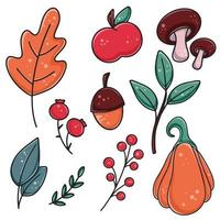 conjunto de elementos de otoño dibujados a mano para crear diseños vector