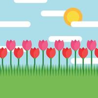 Background of a Tulip Field vector