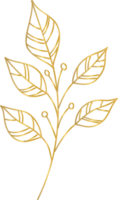 goldenes Blütenblatt png