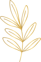 gouden bloem blad png