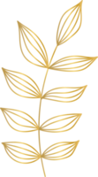 Golden Flower Leaf png