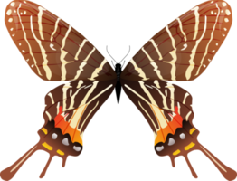 elemento mariposas especias png