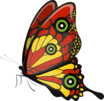 butterflies spicies Element png