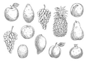 Sketch of vegetarian fruits in retro style vector