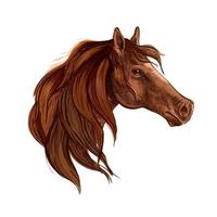 Bay horse with long mane portrait vector