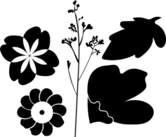 PNG bloemen sier- ontwerp elementen