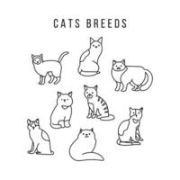 selección de razas de gatos vector