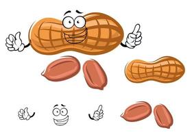 Cartoon peanut in shell with kernels vector