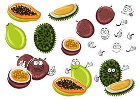 Papaya, maracuja and durian fruits vector