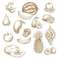 iconos de boceto vintage de frutas frescas enteras y cortadas a la mitad vector