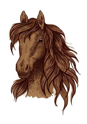 Brown running mustang portrait