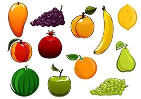 Isolated healthy organic sweet fruits set vector