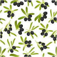 Olive branches seamless pattern background vector