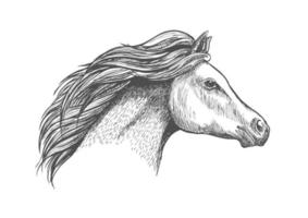 Racehorse mare head for horse racing design vector
