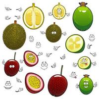 Exotic cartoon feijoa, durian and maracuya fruits vector