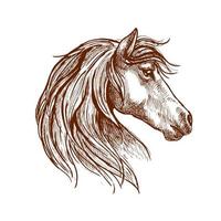 Wild brown horse head sketch vector