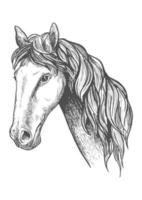 caballo de carreras de raza appaloosa boceto símbolo vector